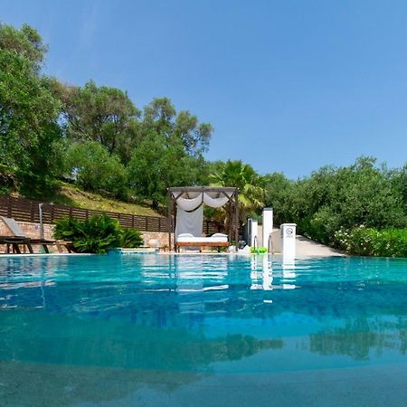 מסונגי Ionian Pearl Luxury Spa Villa מראה חיצוני תמונה